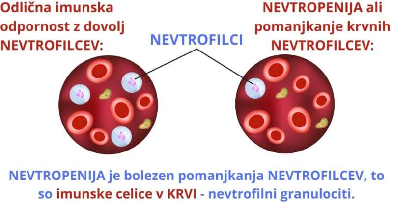 Razredčeni NEVTROFILCI je NEVTROPENIJA Zaper Zaperino pomaga uničiti viruse, bakterije, glive in parazite